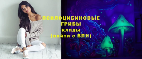 2c-b Алексин