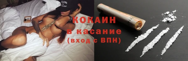 ГАЛЛЮЦИНОГЕННЫЕ ГРИБЫ Аркадак
