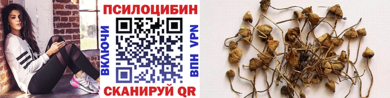 Псилоцибиновые грибы MAGIC MUSHROOMS  Красный Кут 